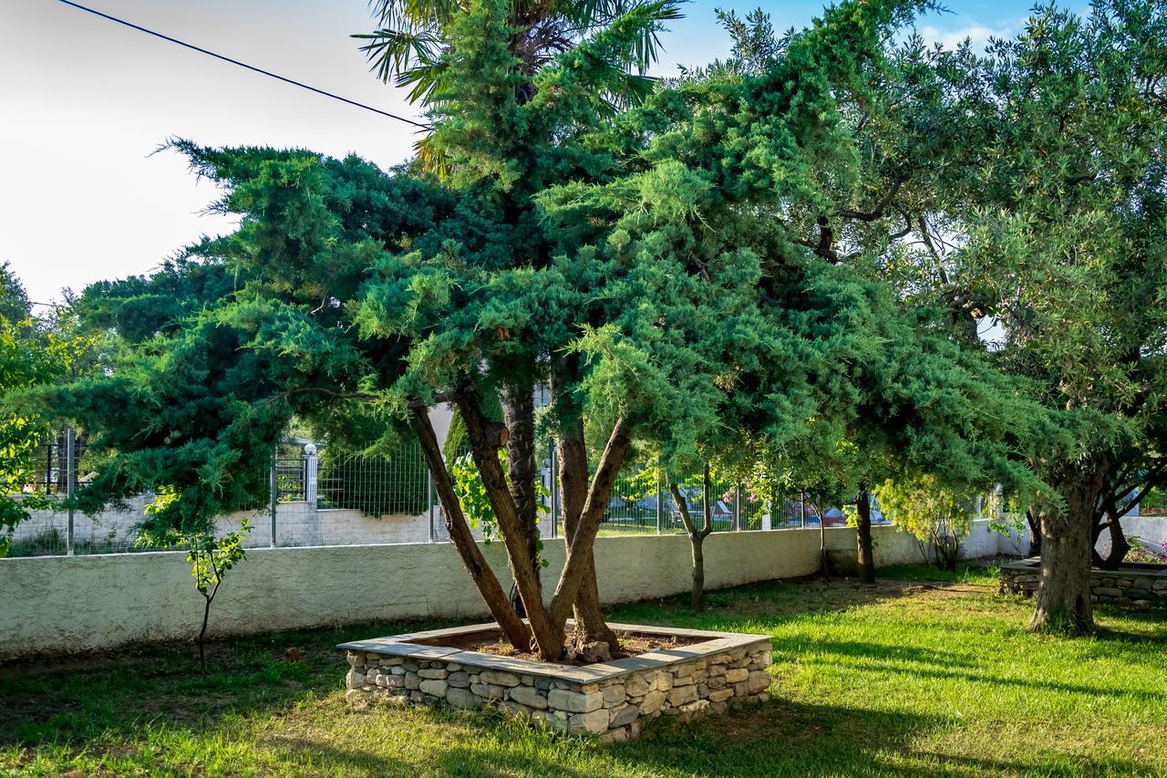 Villa Dafni Studios Limenas  Luaran gambar